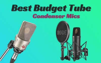 best budget tube condenser mics