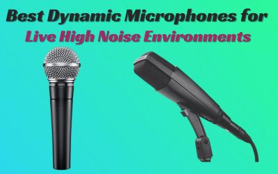 best dynamic microphones for live high noise environments